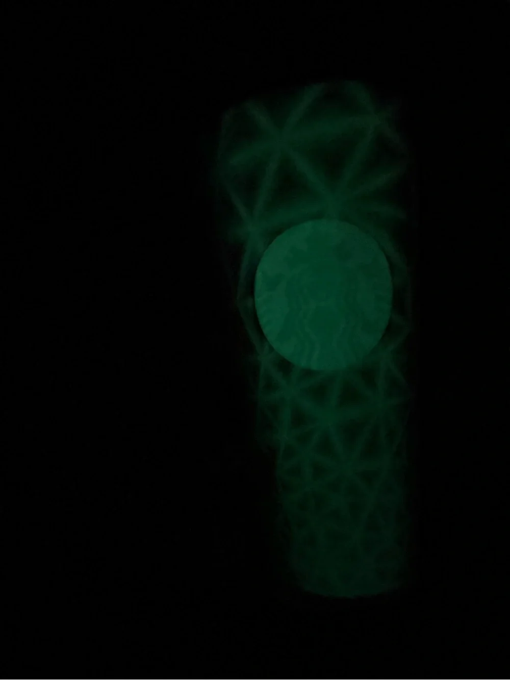 Glow In The Dark Black Moth Starbucks Tumbler Venti